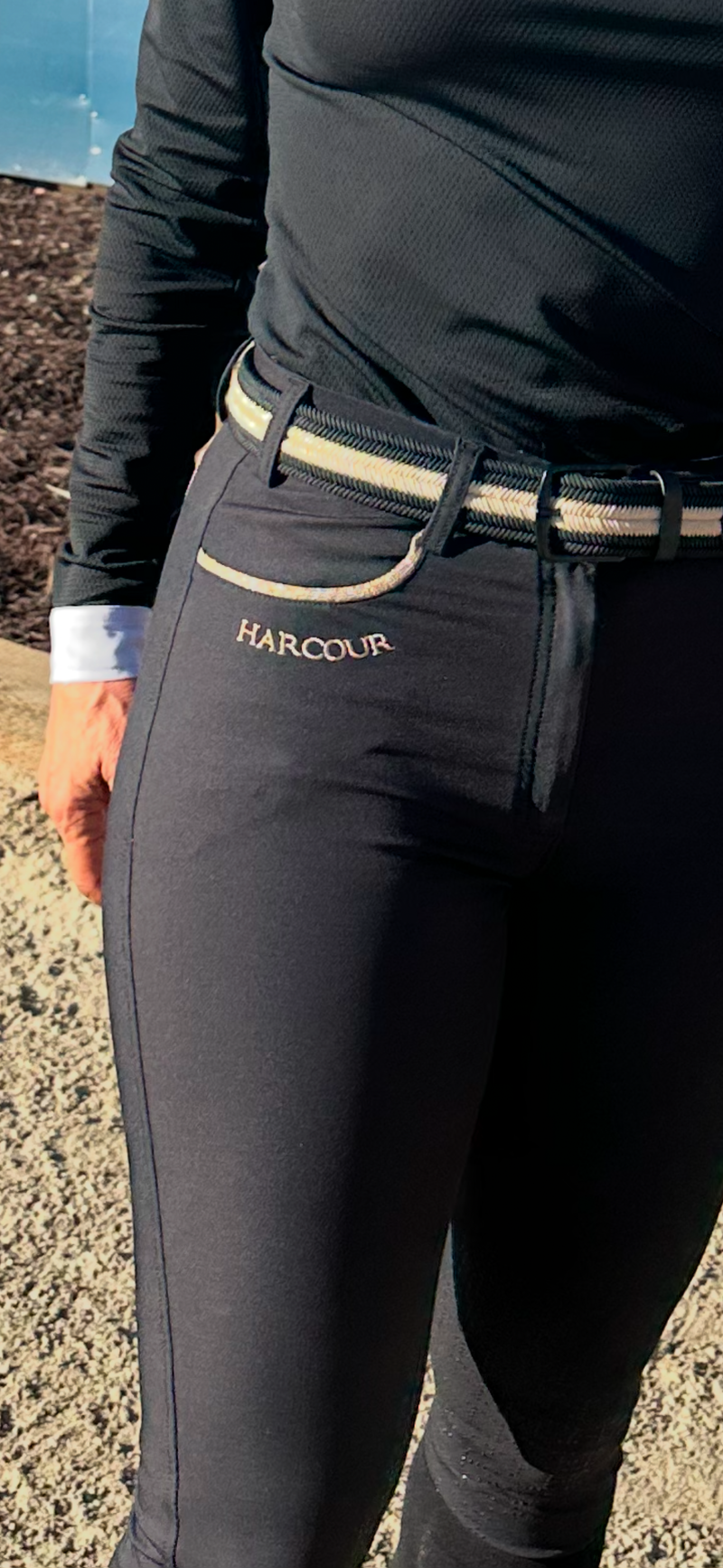 Limited Edition Jaltika Black/Gold Breeches