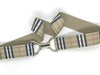D Ring Buckle Stretch Belt 1.5"