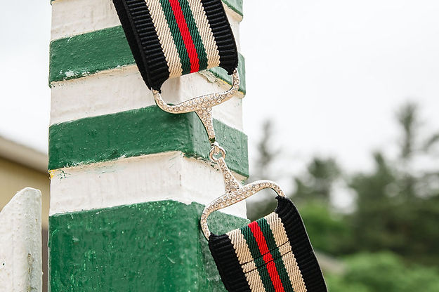 Black/Red/Green/Silver