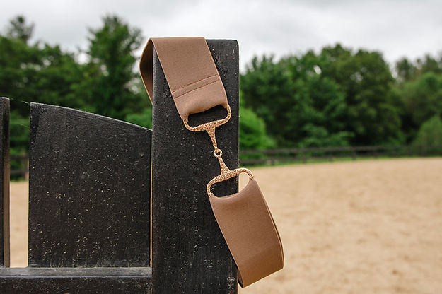 Glitter Bit Elastic Belt