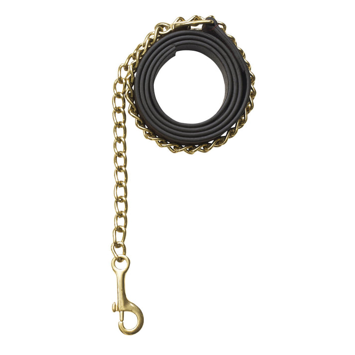 Richtan Lead with Chain