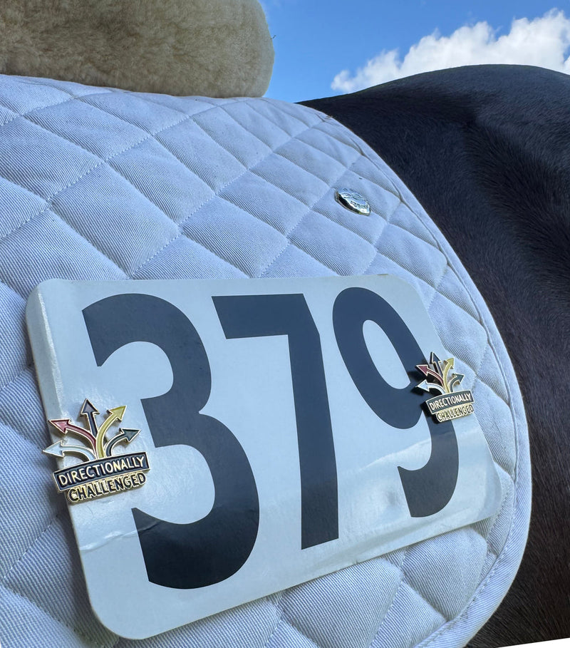 Directionally Challenged Number Pins