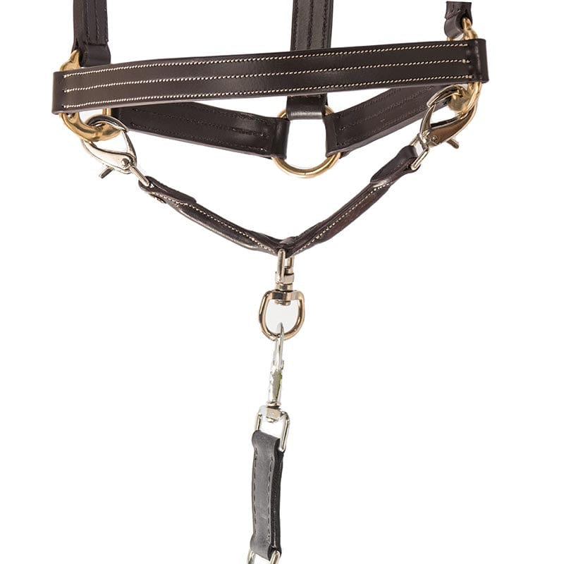 Leather Covered Lunge Strap