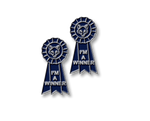 I'm a Winner Number Pins