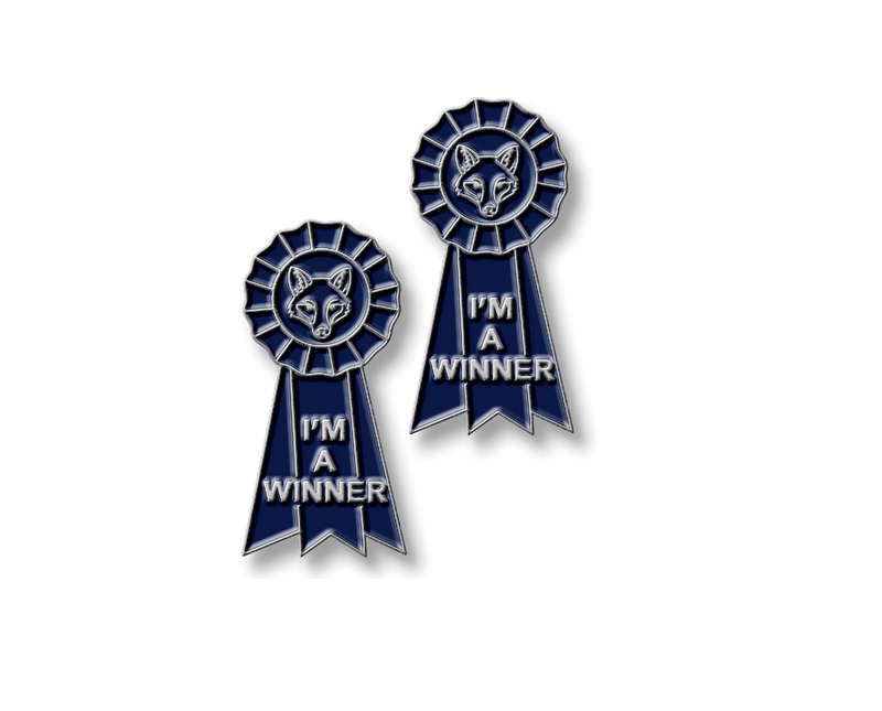 I'm a Winner Number Pins