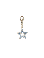 Bling Star Bridle/Braid/Bonnet Charm